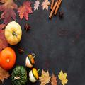 実りの秋を盛り上げて！ZARAホーム・ニトリ・ベルメゾンのおしゃれ食器９選 -