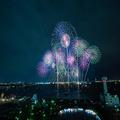 九州でコロナ後初となる大型花火イベントが11月28日に開催！ |