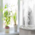 『ZIP』加湿器をつけっぱなしで寝るのはNGと専門家　効率良い方法は… -