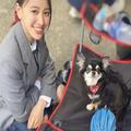【本日放送】山里ワールド全開の妄想ドラマ『あのコの夢を見たんです。』に、山本舞香さ