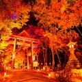 神社研究家が厳選！運気アップする「パワスポ神社」の紅葉11 -