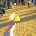 「恋あた」パンプディングは安定のおいしさ！【今週のMOREインフルエンサーズライフスタイ