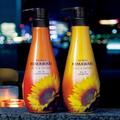 ［クラシエホームプロダクツ］ディアボーテ HIMAWARI オイルインシャンプー＆コンディショナ