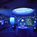 新江ノ島水族館の冬季スペシャルイベント「ジュエリウム」期間限定開催！ -