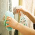 ［LDK］セリアが1位だって？ 大そうじで活躍の“あの水”10製品比べたら… -