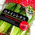 マニア絶賛！《コストコ》の「おススメ食品」が神コスパすぎる！ - ビューティーガール