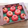 フレッシュ…！《コストコ》で「生鮮食品」を買うべき理由♡ - ビューティーガール