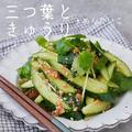 ダイエット中でも安心のヘルシーおつまみ！野菜・肉・魚別に簡単で美味しいレシピ - ビュ