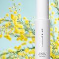 「SHIRO」に、爽やかなミモザの香りが登場。春にぴったり＆数量限定だから、売り切れ前にゲ