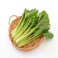 「小松菜」のパワーがすごい？30代女性が摂るべき野菜「小松菜」の栄養とは -