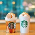今すぐ飲んで！【スタバ】新作「ほうじ茶」シリーズが遂に解禁！！ - ビューティーガール