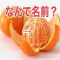 ＜なんて名前？＞みかんについてる“謎の白いすじ”の名前知ってる？ | ビューティーガー