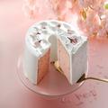 心が躍るほんのり桜色スイーツが勢ぞろい。スターバックスの「SAKURA 2022」第1弾がついにス