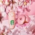 スターバックスのSAKURAシーズンが到来！白玉と生八ッ橋入りの新作なんて、そんなのおいし