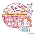 あなたの角層状態がわかるチェックリスト付き！ 「角層ケア」のギモンを解決 | ビューティ