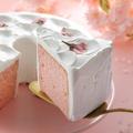 ［スタバ］今年も「桜スイーツ」がお目見え♡今だけのご褒美楽しまなくちゃ。 -