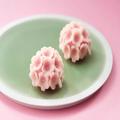 “おうち”お花見にぴったりな「桜スイーツ」オススメ6選！春の訪れ感じるピンクなスイー