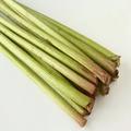 ＜調理方法わからん＞大量のフキをもらった！下ごしらえがとにかく大変、食べきれない…