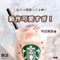 【スタバおすすめカスタム】生八ツ橋も♡春の新作フラペチーノカスタム - ビューティーガ