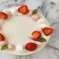 思わず写真を撮りたくなるケーキの盛り付け方。おしゃれで真似しやすいコツを伝授 - ビュ