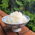 “自分好みのごはん”を炊くにはどれが正解？炊飯器、土鍋、電気圧力鍋を比較 « ビューテ