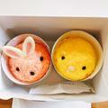 申し訳ないけど21日で終売です！［シャトレーゼ］「可愛くて食べれん」季節限定スイーツ