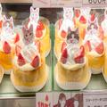 中川翔子コラボ「ショートケーキ」を食べて感動 猫好き注目の取り組みが“隠し味”  - ビュ