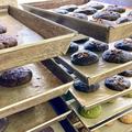 ヘルシーで栄養までとれちゃう♡ギフトにもおすすめのオシャレ焼き菓子特集 - ビューティ