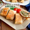 お肉少なめでもボリューム満点！ヘルシーな「たっぷりキャベツの油揚げ餃子」 - ビューテ