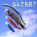 ＜なんて名前＞鯉のぼりの一番上についてる“5色のひらひら”の名前は？ | ビューティーガ
