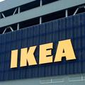 「飲んだ次の日すっきり！」LiLiCoさんが「IKEA」で必ず買う飲兵衛おすすめグルメ -
