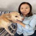 犬猫を殺処分から救いたい、支援団体ハナコプロジェクトが目指す未来とは « ビューティー