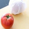 トマトやきゅうりは冷凍保存できる？ 定番の夏野菜が長持ちする「保存方法」をおさらい