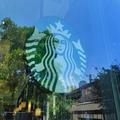 スターバックスに「緑」のドリンク＆フードがいっぱい！その理由に驚いた | ビューティー