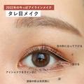垢抜けのコツはアイラインにあり♡2022年の最新今っぽアイラインメイク3選 -