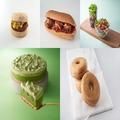 スタバに「新プラントベースフード」アーモンドミルクの抹茶ムース美味しそう！ -