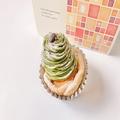 ドトール新作「抹茶のモンブラン」は大人の味わい　中にはホイップクリームが！ - ビュー