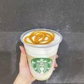 【スタバ】終了間近？マニアおすすめの「絶品ドリンク」 - ビューティーガール