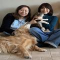 石田ゆり子×山田あかね、保護犬猫の支援団体を立ち上げ「私たちにも何かできる」 | ビュー