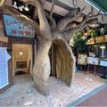 【横浜中華街】本格"チャイ"が楽しめる「異空間カフェ」 - ビューティーガール