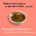 【無印】体にやさしい「無添加カレー」が美味しい！ - ビューティーガール