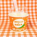 【マクドナルド】マンゴー×カルピス「夏のマックフルーリー」実食レビュー - ビューティー