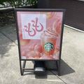 スタバ新作「桃フラぺチーノ」できるカスタムは？新作フードも紹介 - ビューティーガール