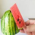 およそ3割の男性が スイカに「あるもの」をかけて食べていると判明… - ビューティーガール