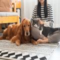 犬猫の「動物介護資格」が取れるオススメ通信講座！口コミ・評判は？ | ビューティーガー