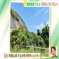 目の前には海！和歌山でみつけた「町外れレストラン」 - ビューティーガール