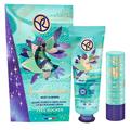 ［イヴ・ロシェ］MILKY ALMONDS ハンド＆リップクリームキット 発売日［2022/11/11］ |