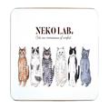 6匹の猫イラストに癒される。彩り豊かな金平糖も入った猫クッキー缶／思わずジャケ買い！