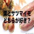 秋の味覚、「栗 vs サツマイモ」人気調査 若い世代と中高年で真逆の傾向が… - ビューティー