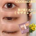 【キャンメイク】最高に可愛い「オレンジ系アイメイク」に使えるコスメ4選 - ビューティー